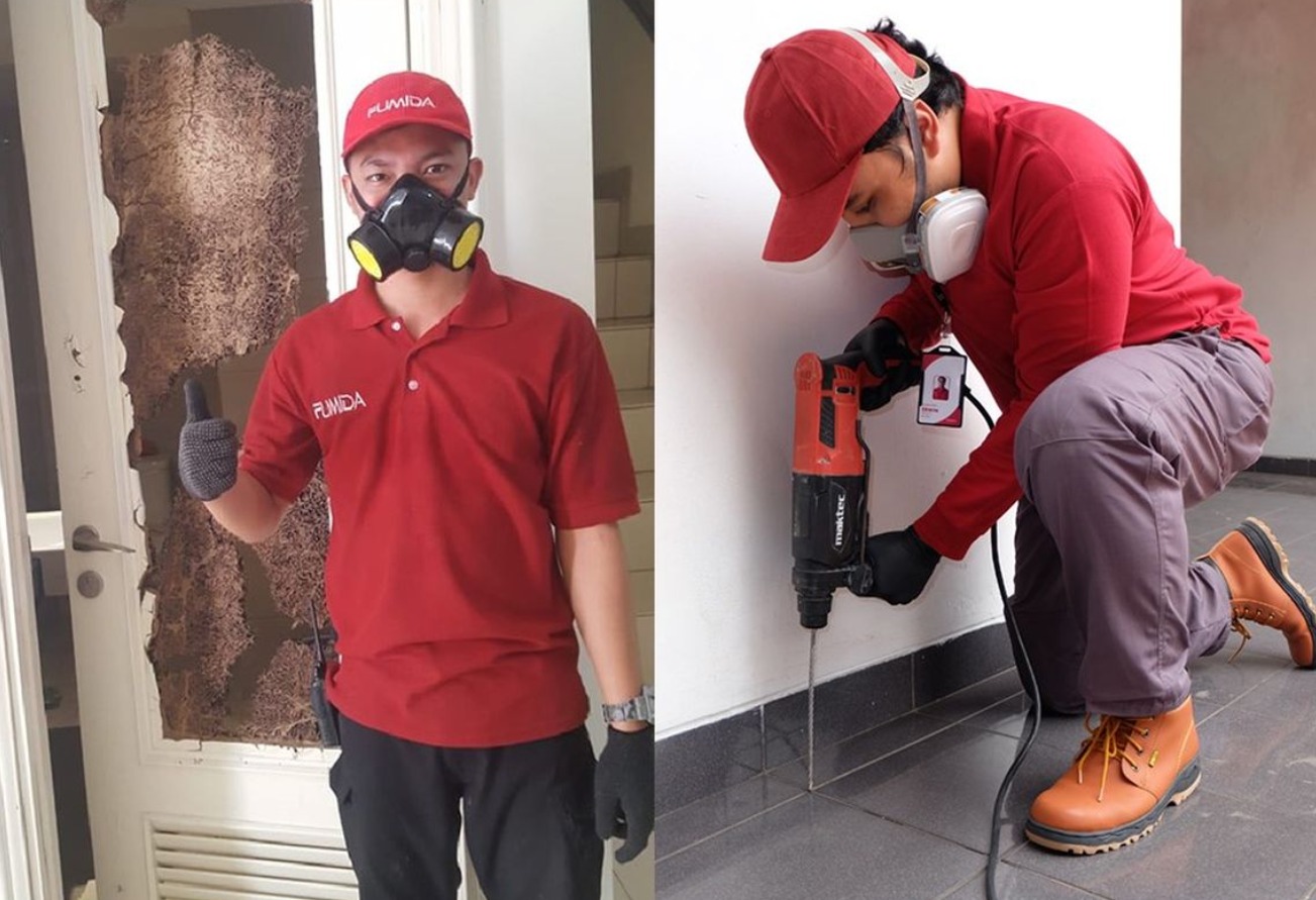 Jasa anti rayap Panggilan yang Bisa Anda Pakai